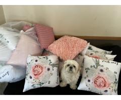 Pink Decor Pillows